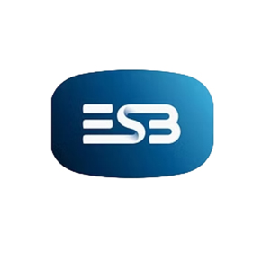05-esb